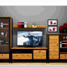 Гостиная Лофт (Loft) BRW заказать по цене 70 750 руб. в Нижнем Новгороде